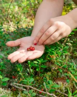 Abby Winters - 79-eve-1-0079